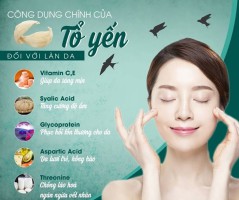 Những lợi ích “vàng” của yến sào nguyên chất đối với phụ nữ