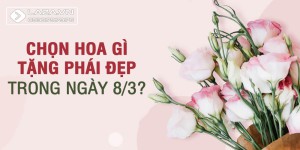 Những gợi ý chọn hoa 8/3 ý nghĩa nhất năm 2023