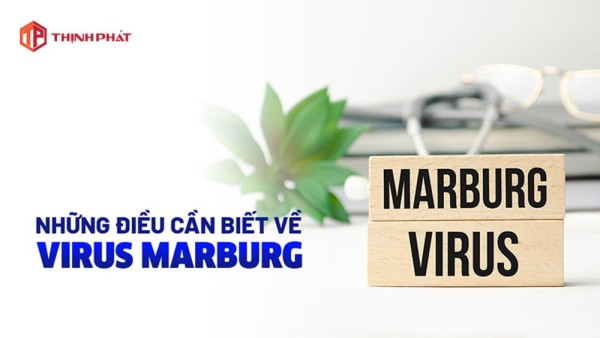 Bệnh Marburg là bệnh gì và nguy hiểm như thế nào đến sức khỏe
