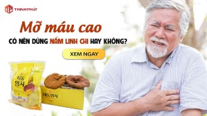 Người bị mỡ máu cao có uống nấm linh chi được không?
