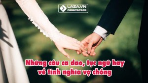 88 Câu Ca Dao, Tục Ngữ Hay Về Tình Nghĩa Vợ Chồng