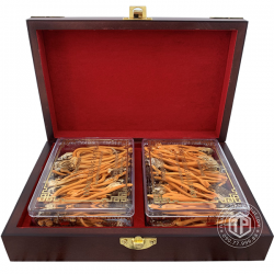 Con đông trùng hạ thảo ký chủ Việt Nam hộp 80 con