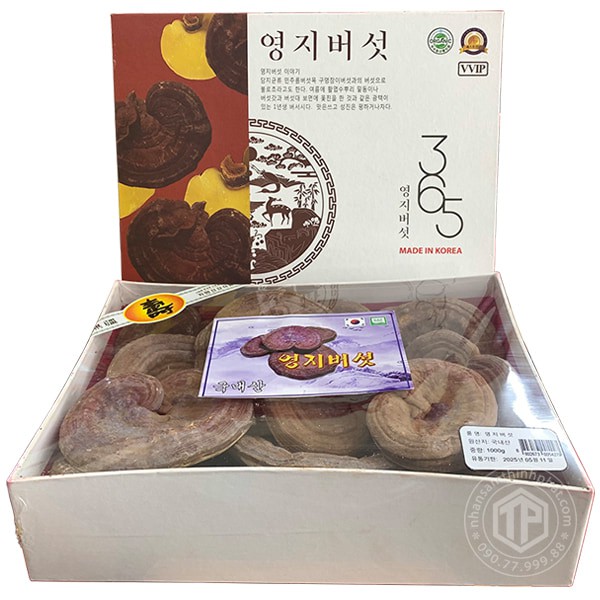 Nấm linh chi đỏ Hàn Quốc hộp quà tặng