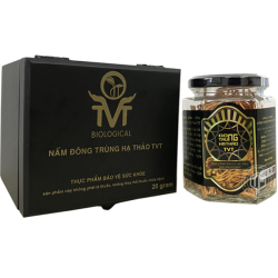 Đông trùng hạ thảo khô Việt Nam hộp 20g