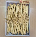 Nhân sâm tươi Hàn Quốc loại 1 nhập khẩu kg 30-40 củ