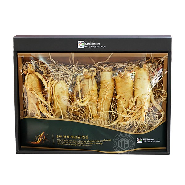 Nhân sâm tươi Hàn Quốc loại 1 nhập khẩu kg 6 củ