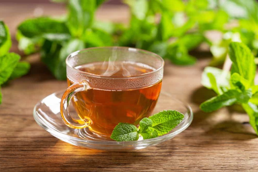 Uống trà bạc hà giúp cơ thể dễ tiêu hóa thức ăn hơn