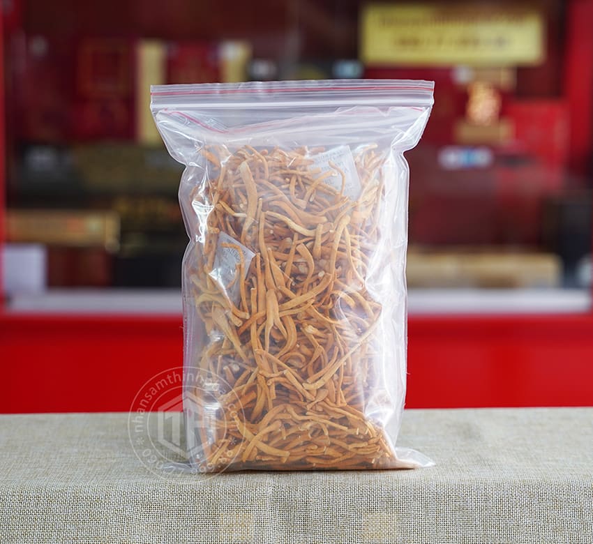 Nấm đông trùng sợi khô túi 100g