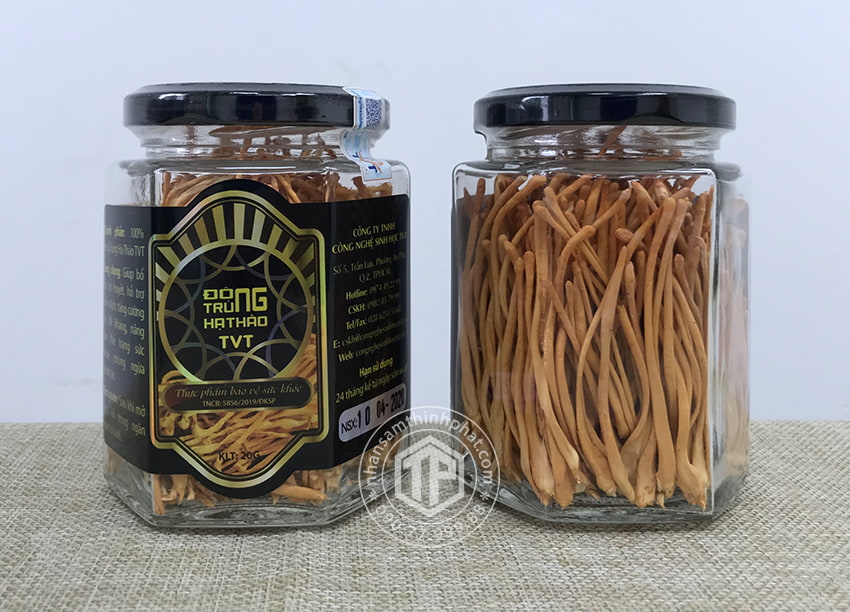 Đông trùng hạ thảo khô Việt Nam hộp 20g