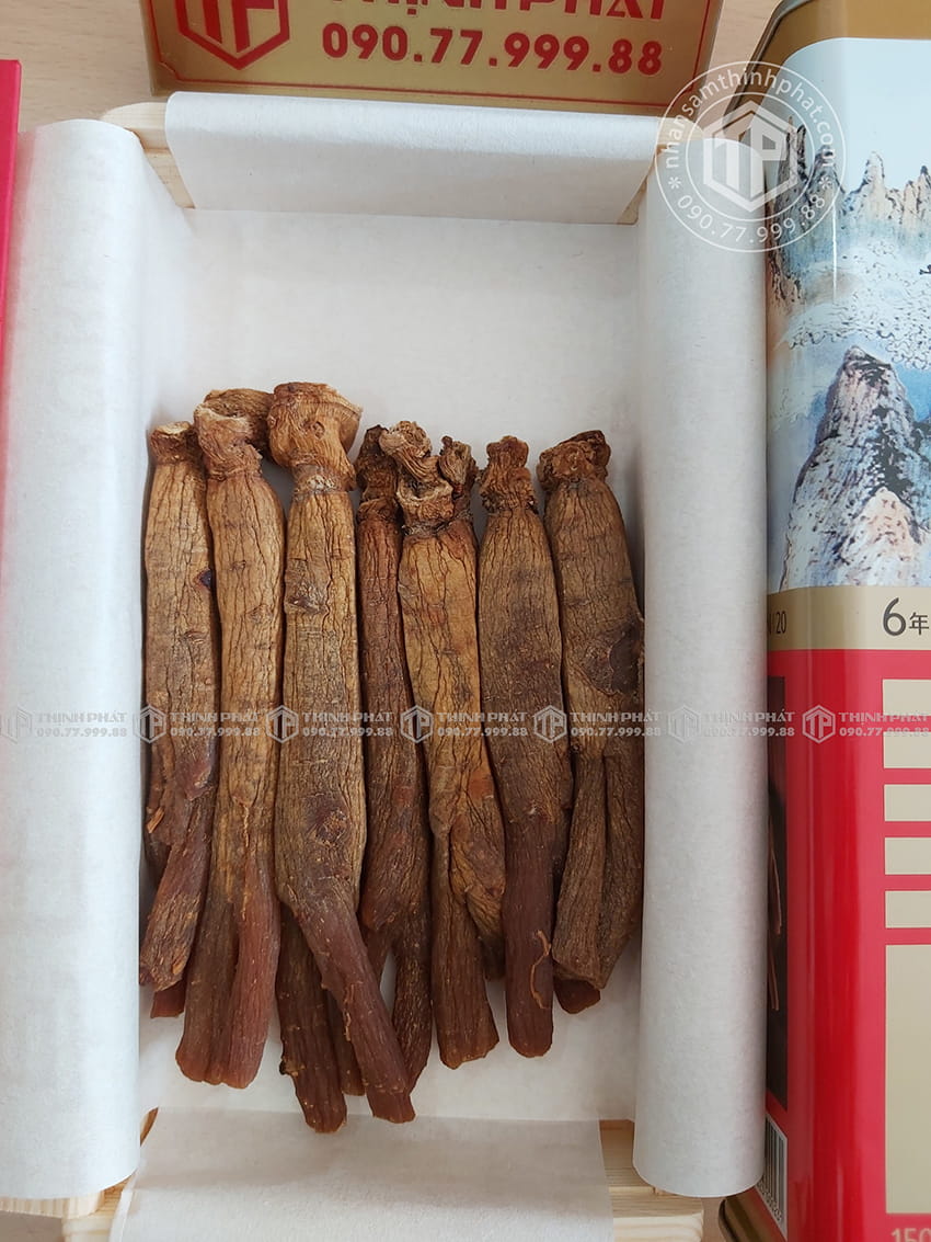 Thiên sâm chính phủ KGC Jung Kwan Jang thượng hạng Heaven 150g 7 củ