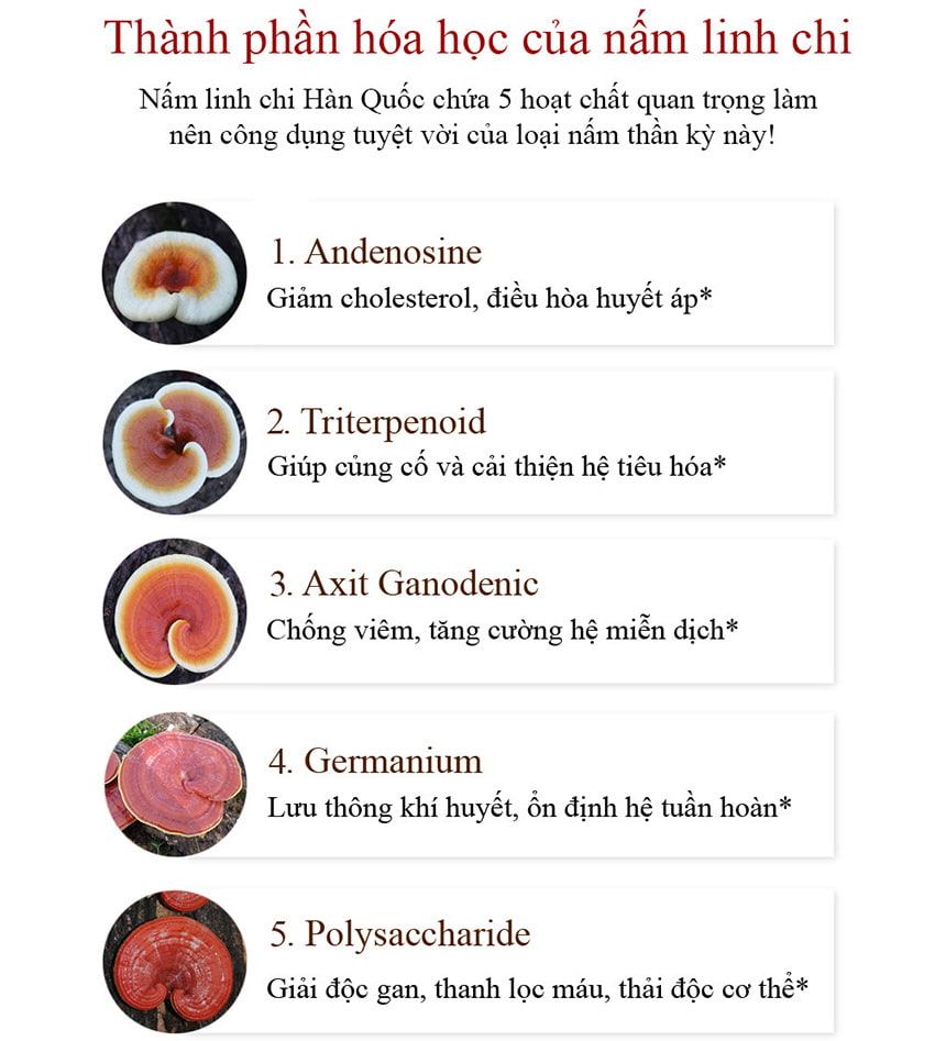 Thành phần Nấm linh chi Hàn Quốc loại 1 - 1kg