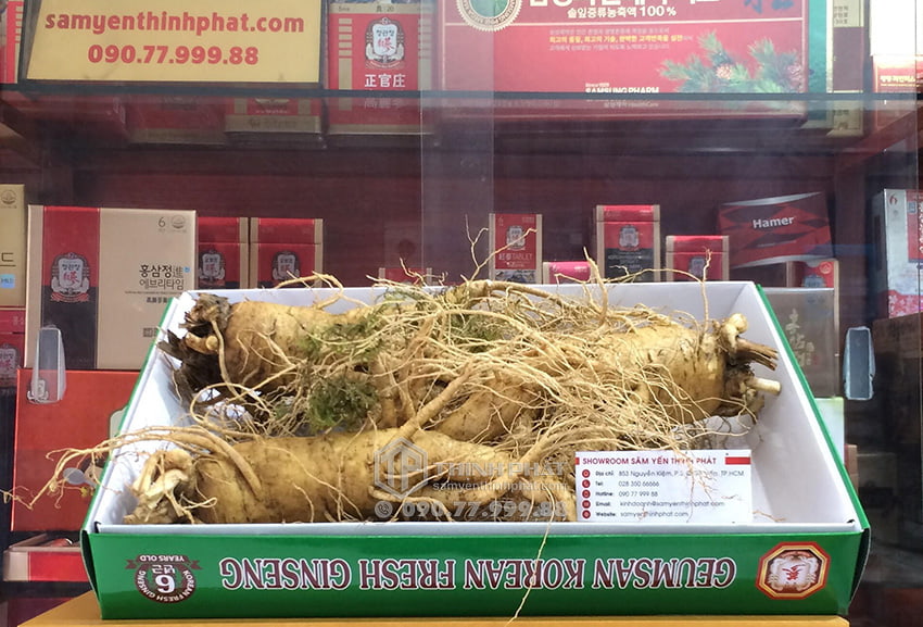 Nhân sâm tươi Hàn Quốc loại 3 củ 1 kg