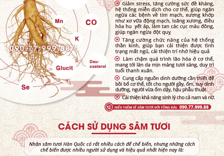 Giới thiệu công dụng, cách sử dụng sâm tươi Hàn Quốc