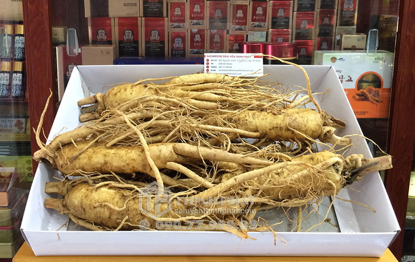 Nhân sâm tươi Hàn Quốc loại 5 củ 1 kg