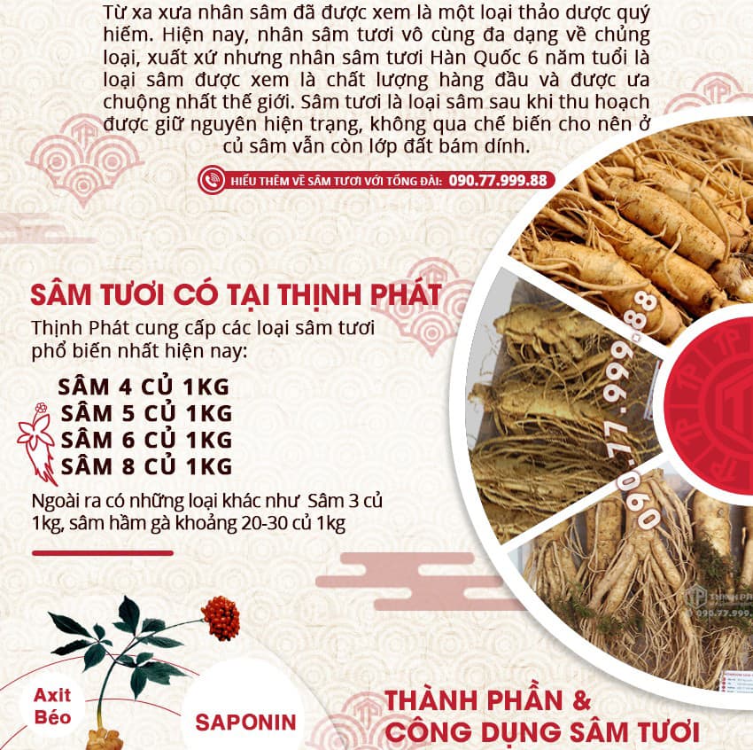 Giới thiệu công dụng, cách sử dụng sâm tươi Hàn Quốc