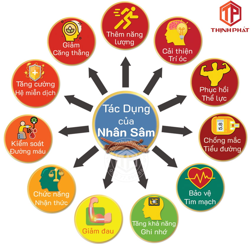 Tách dụng của nhân sâm
