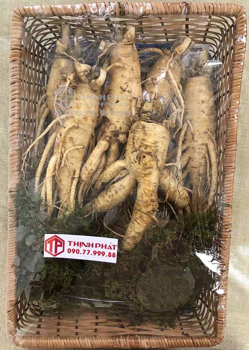Nhân sâm tươi Hàn Quốc loại 6 củ 1 kg