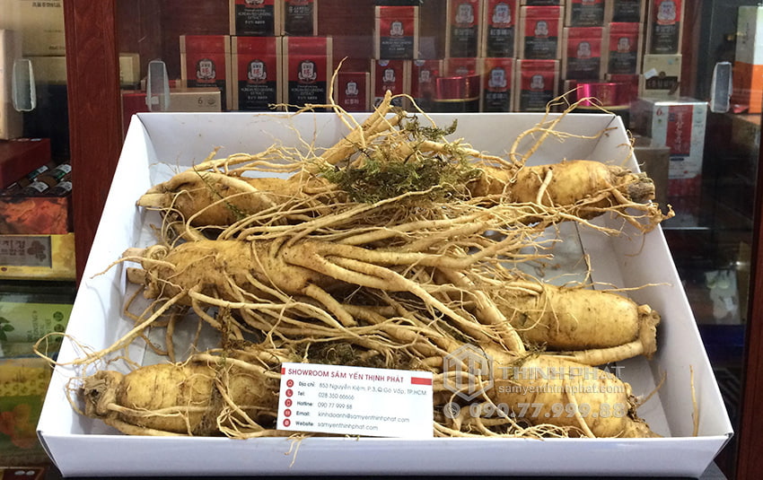 Nhân sâm tươi Hàn Quốc loại 6 củ 1 kg