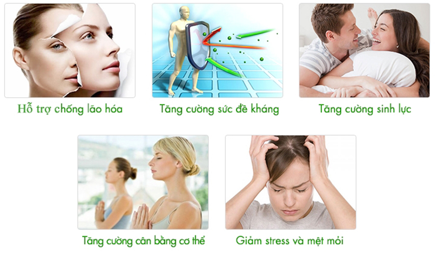 Nước hồng sâm linh chi táo đỏ Hàn Quốc hộp 30 gói x 80ml
