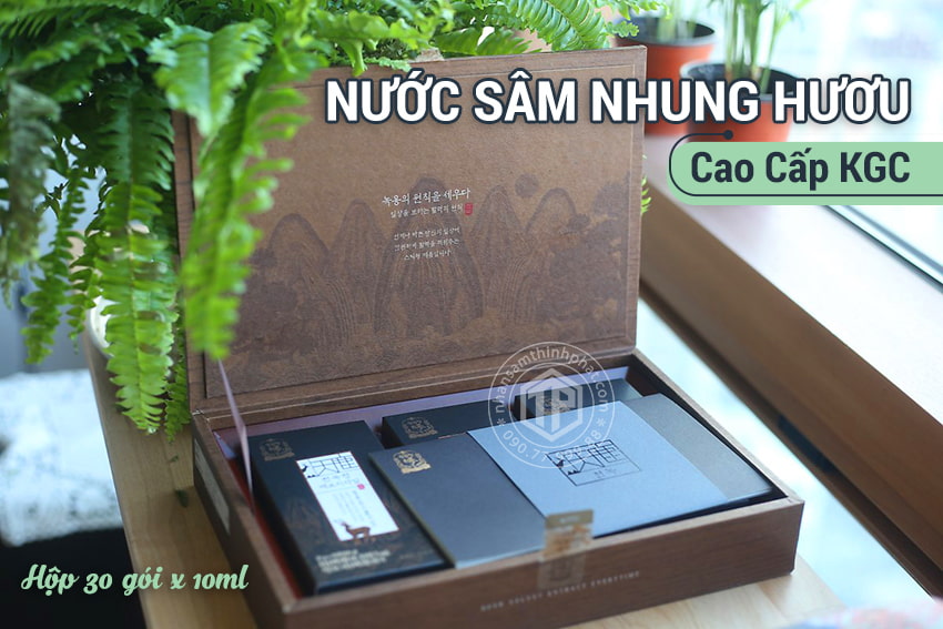Nước sâm nhung hươu cao cấp KGC sâm chính phủ Jung Kwan Jang hộp 30 gói x 10ml