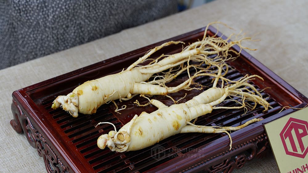 củ sâm tươi hàn quốc 6 năm