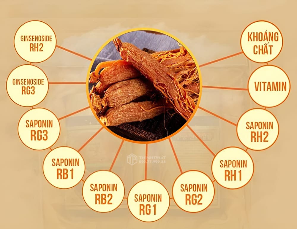 Có đến 34 loại saponin trong hồng sâm Hàn Quốc 6 năm tuổi