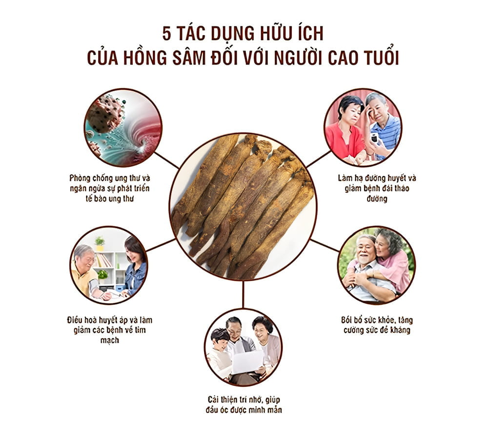 Sử dụng hồng sâm giúp người cao tuổi cải thiện nhiều vấn đề sức khỏe