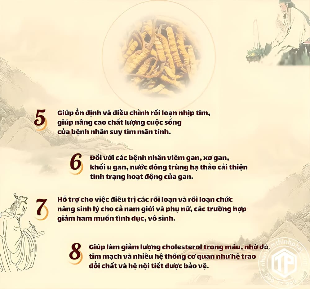 Tác dụng nước đông trùng hạ thảo