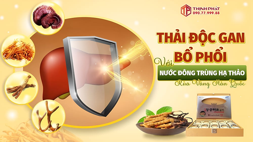 Thải độc gan bổ phỏi với nước đông trùng hạ thảo rùa vàng