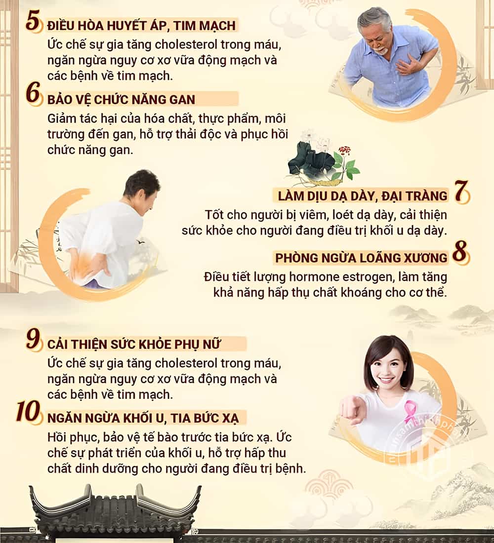 10 tác dụng tuyệt vời của sâm nước Hàn Quốc với sức khỏe