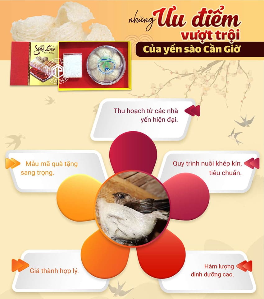 Những Ưu Điểm Vượt Trội Của Yến Sào Cần Giờ