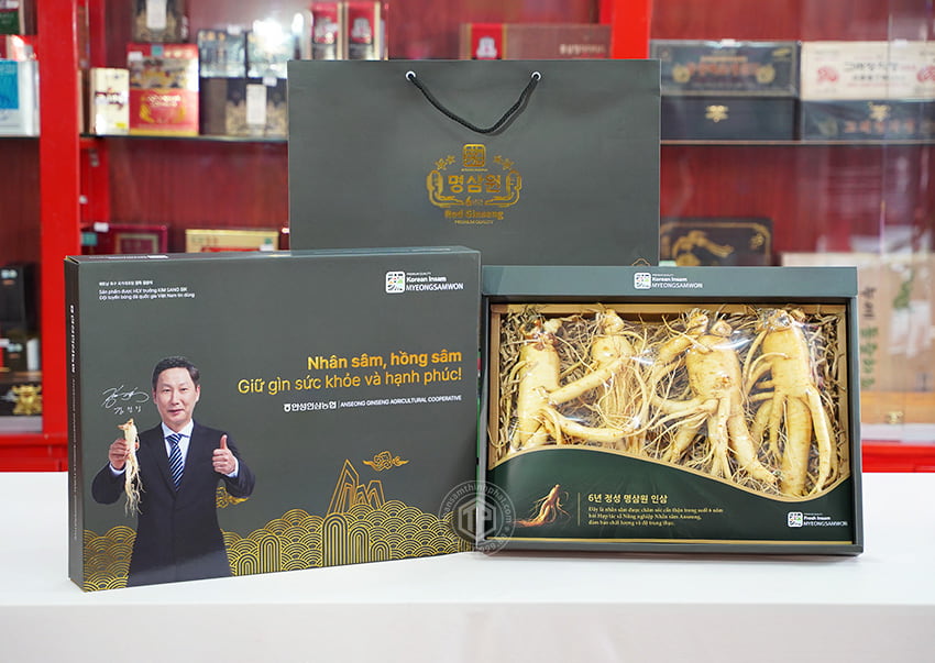 Nhân sâm tươi Hàn Quốc loại 1 nhập khẩu kg 4 củ Nhân sâm tươi Hàn Quốc loại 1 nhập khẩu kg 4 củ