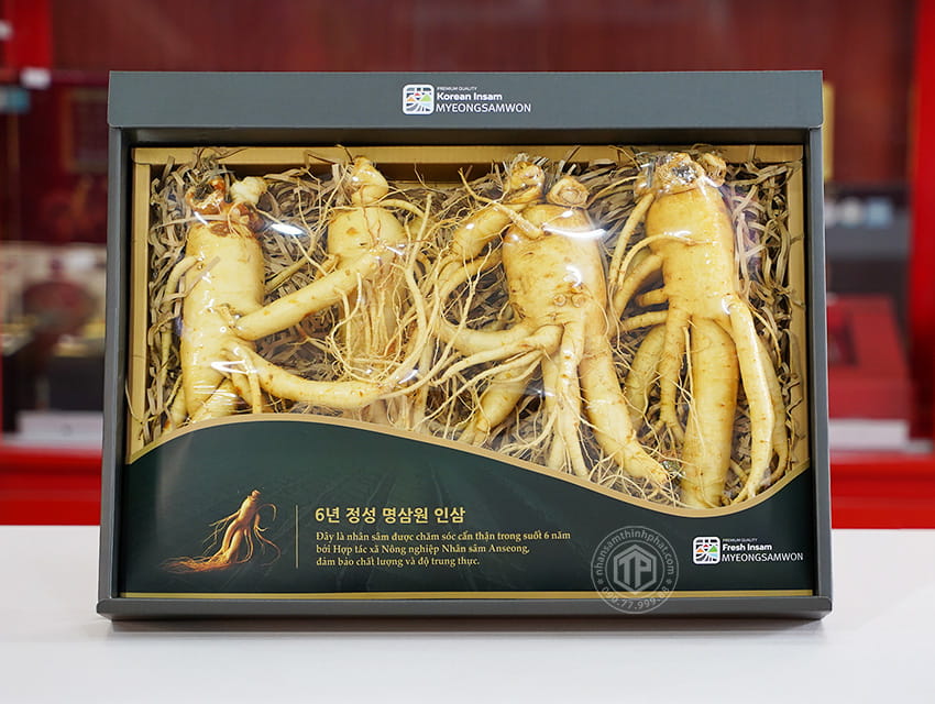 Nhân sâm tươi Hàn Quốc loại 1 nhập khẩu kg 4 củ Nhân sâm tươi Hàn Quốc loại 1 nhập khẩu kg 4 củ