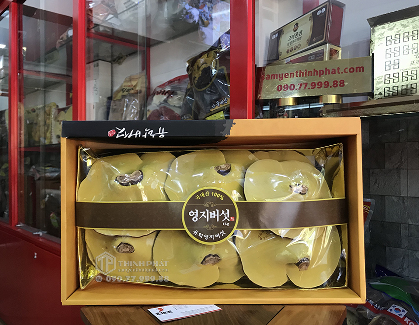 Nấm linh chi Hàn Quốc thượng hạng hộp quà tặng 1kg