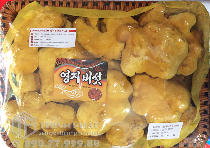 Nấm linh chi Thượng Hoàng Hàn Quốc 1kg