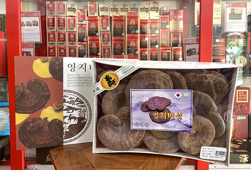 Nấm linh chi đỏ thiên nhiên Hàn Quốc hộp quà tặng