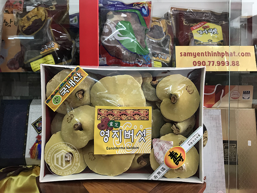 Nấm linh chi vàng Hàn Quốc cao cấp 365 hộp quà tặng 1kg